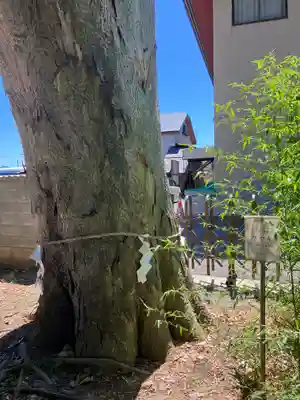 三ツ石神社(岩手県)