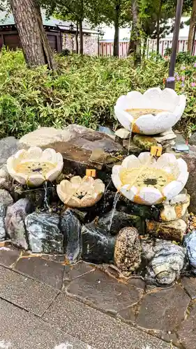 櫻木神社の手水舎