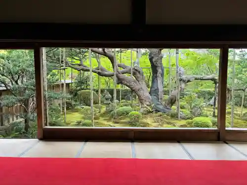 宝泉院(京都府)