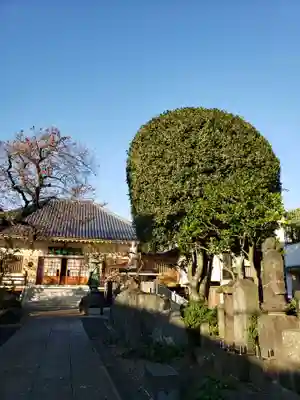 禅定院のその他建物