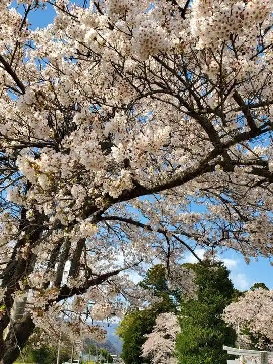 高司神社〜むすびの神の鎮まる社〜の自然