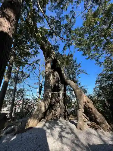 上野総社神社(群馬県)