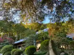 崇禅寺の建物その他