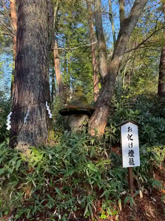 白根神社の{uncategorized: "未分類", other: "その他", undefined: "問題あり", building: "その他建物", grave: "お墓", sacred_gate: "鳥居", guardian: "狛犬", statue: "像", buddha: "仏像", history: "歴史", nature: "自然", garden: "庭園", animal: "動物", pagoda: "塔", temizu: "手水舎", mountain_gate: "山門・神門", sanctuary: "本殿・本堂", subordinate: "末社・摂社", art: "芸術", scenery: "景色", jizo: "地蔵", ema: "絵馬", goshuin: "御朱印", omikuji: "おみくじ", items: "授与品その他", amulet: "お守り", goshuincho: "御朱印帳", eats: "食事", festival: "お祭り", votive_dance: "神楽", shichigosan: "七五三参", wedding: "結婚式", experience: "体験その他", initially: "初詣", around: "周辺", anti_infection: "感染症対策"}