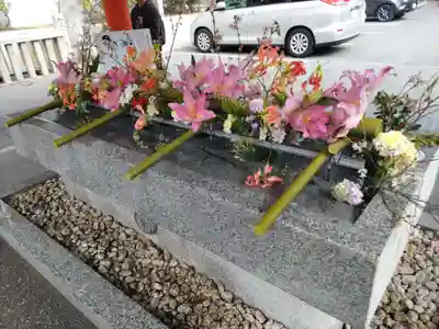 生田神社(兵庫県)