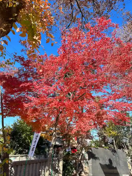 小野神社(東京都)