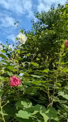 西福寺(京都府)