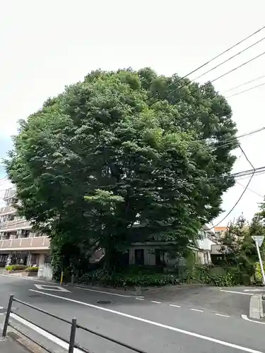 小野神社(東京都)