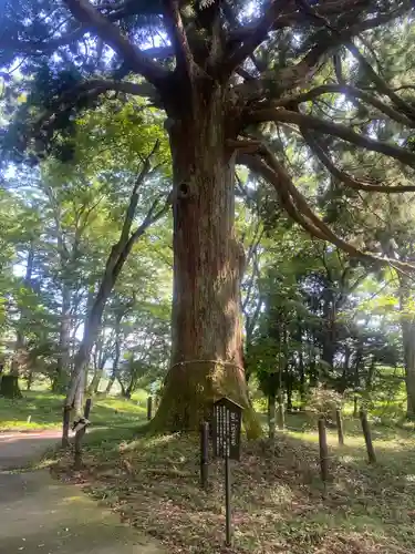 白河神社(福島県)