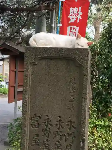櫻岡大神宮の動物