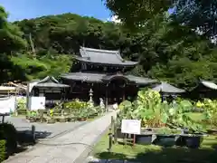 三室戸寺の庭園