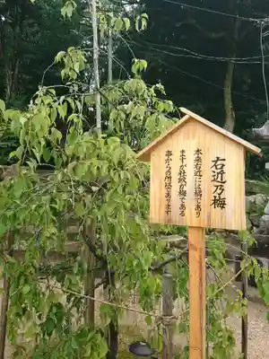 天満神社の自然