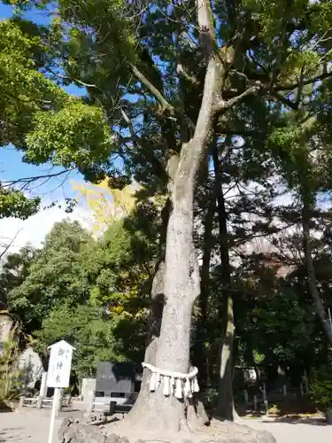 玉村八幡宮の庭園