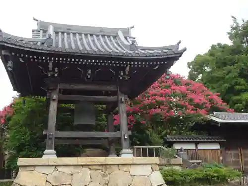 妙蓮寺のその他建物