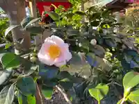 伊勢の国 四天王寺(三重県)