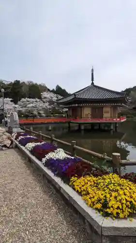 安倍文殊院 (奈良県)