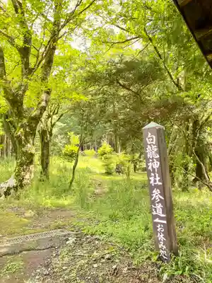 九頭龍神社本宮(神奈川県)