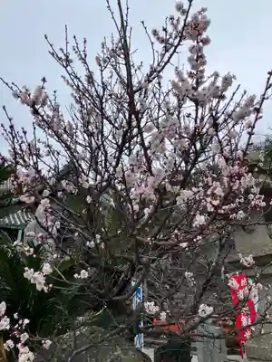 粉河寺(和歌山県)