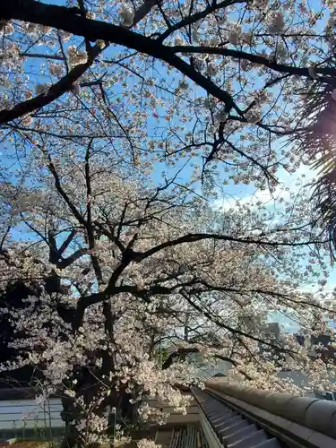 如宝寺(福島県)