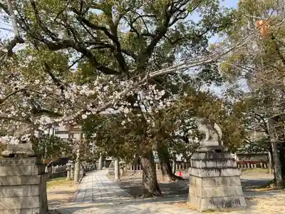 藤森神社(京都府)