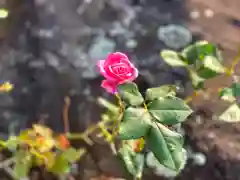 白鳥神社の自然