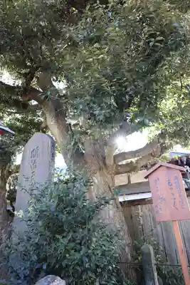 鷲宮神社(埼玉県)