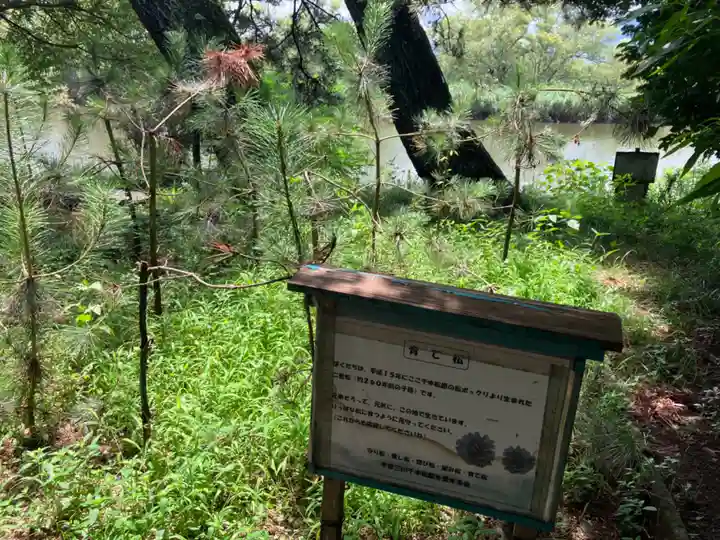 治水神社の景色