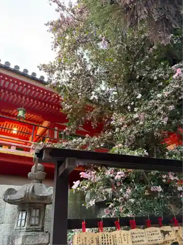 石清水八幡宮(京都府)