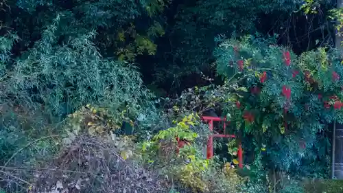 長谷山口坐神社(奈良県)