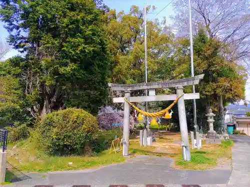 八幡社（赤坂町）の鳥居