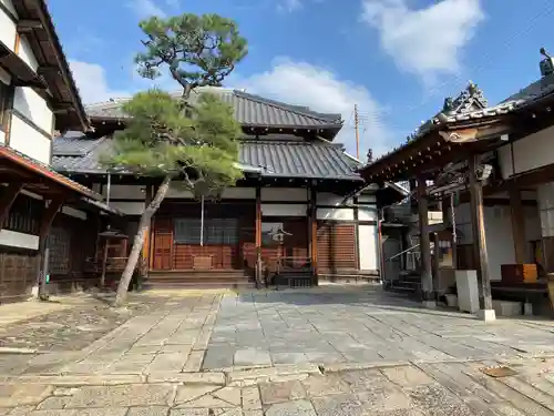 通妙寺の本殿・本堂