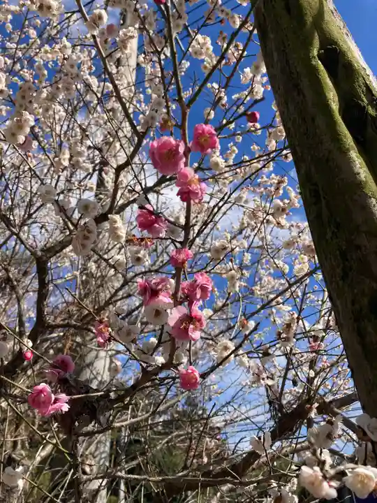 鷲神社(茨城県)