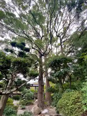 高砂神社(兵庫県)