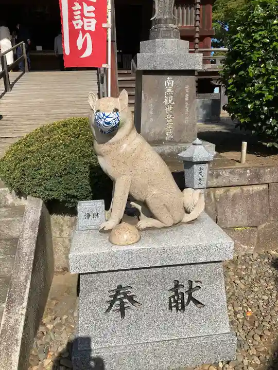 不動院(板橋不動尊)の狛犬