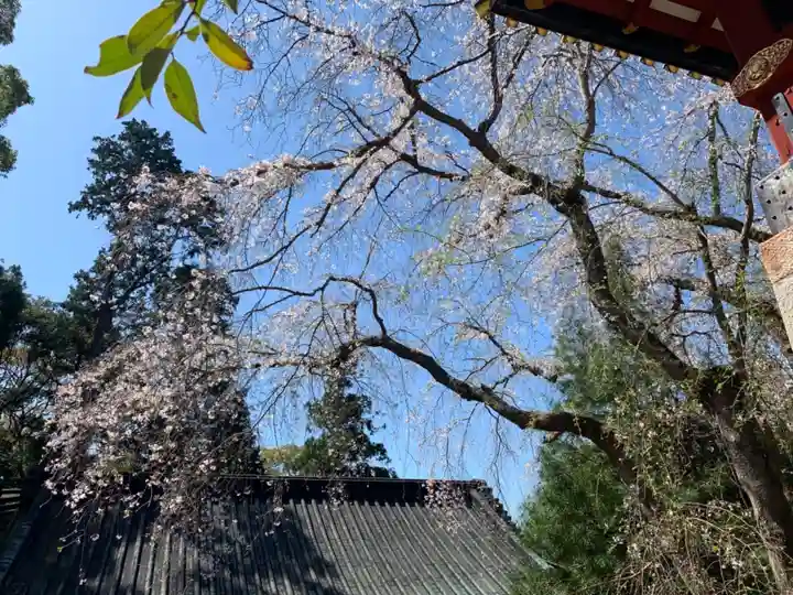 久能山東照宮のその他建物