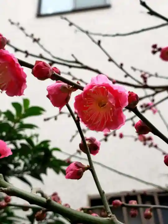 小淀東町会稲荷大明神(東京都)