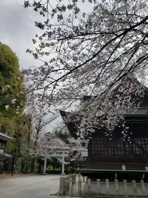熊野神社(東京都)