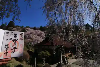 龍光寺の御朱印