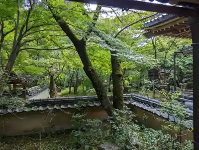 勝持寺（花の寺）(京都府)
