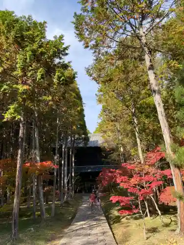 曹源寺の建物その他