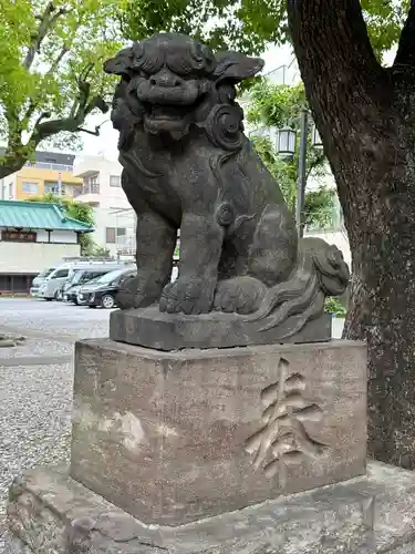 橘樹神社の狛犬