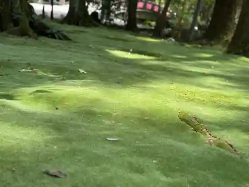 都農神社(宮崎県)