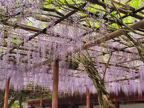 笠間稲荷神社(茨城県)