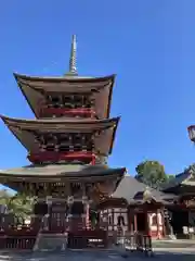 成田山新勝寺の塔