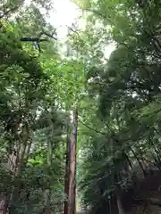 元伊勢内宮 皇大神社の自然