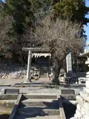 天満天神社の鳥居