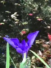 鹿島大神宮の自然