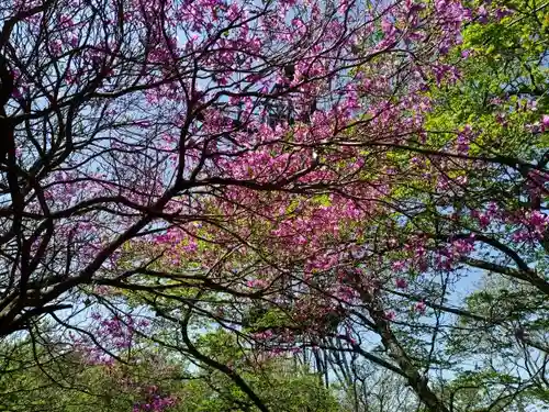 筑波山神社の自然