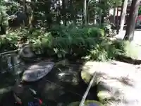 白鳥神社(岐阜県)
