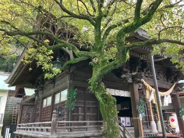 根岸八幡神社の{uncategorized: "未分類", other: "その他", undefined: "問題あり", building: "その他建物", grave: "お墓", sacred_gate: "鳥居", guardian: "狛犬", statue: "像", buddha: "仏像", history: "歴史", nature: "自然", garden: "庭園", animal: "動物", pagoda: "塔", temizu: "手水舎", mountain_gate: "山門・神門", sanctuary: "本殿・本堂", subordinate: "末社・摂社", art: "芸術", scenery: "景色", jizo: "地蔵", ema: "絵馬", goshuin: "御朱印", omikuji: "おみくじ", items: "授与品その他", amulet: "お守り", goshuincho: "御朱印帳", eats: "食事", festival: "お祭り", votive_dance: "神楽", shichigosan: "七五三参", wedding: "結婚式", experience: "体験その他", initially: "初詣", around: "周辺", anti_infection: "感染症対策"}